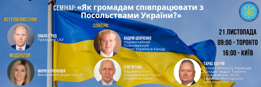 How can communities cooperate with the Embassies of Ukraine? Results of the Online Workshop