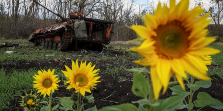 Day 219 of War on Ukraine