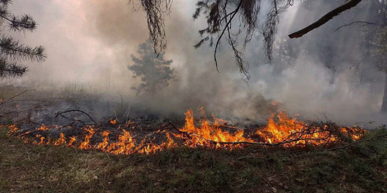 Російська агресія завдає непоправної шкоди довкіллю