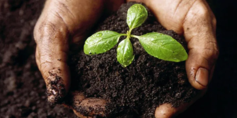 Stolen Ukrainian black soil on sale in Russian stores Stolen Ukrainian black soil on sale in Russian stores