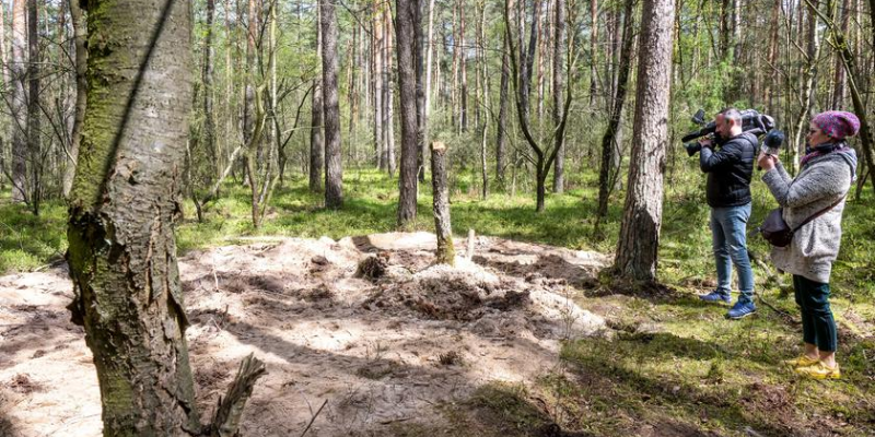 Ракета, що впала в Польщі, ідентифікована як російська Х-55