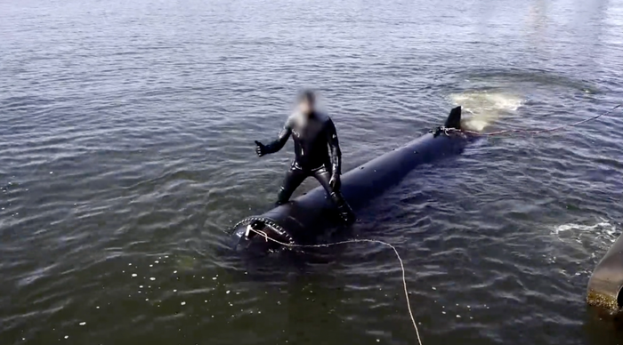 “Марічка”: на що здатен новий підводний дрон України