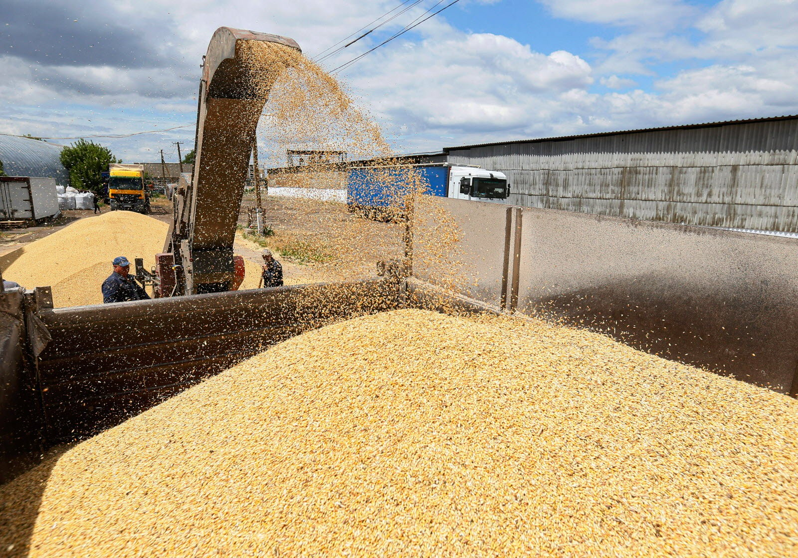Ukraine proposes to create grain hubs in African ports