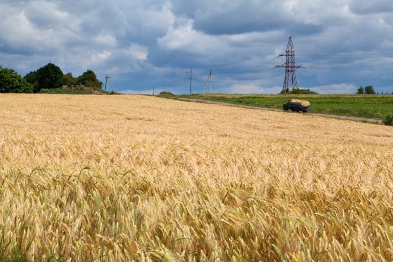 Росія встановлює світові рекорди завдяки краденому зерну України