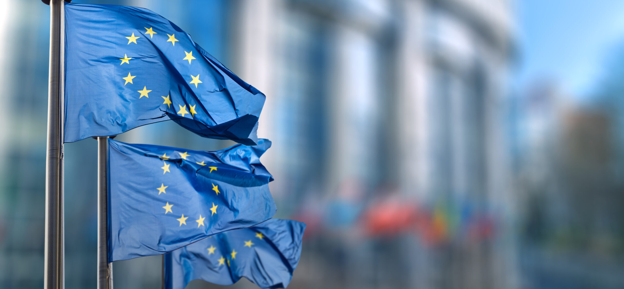 EU resolution paves way for utilizing frozen Russian assets for Ukraine EU resolution paves way for utilizing frozen Russian assets for Ukraine