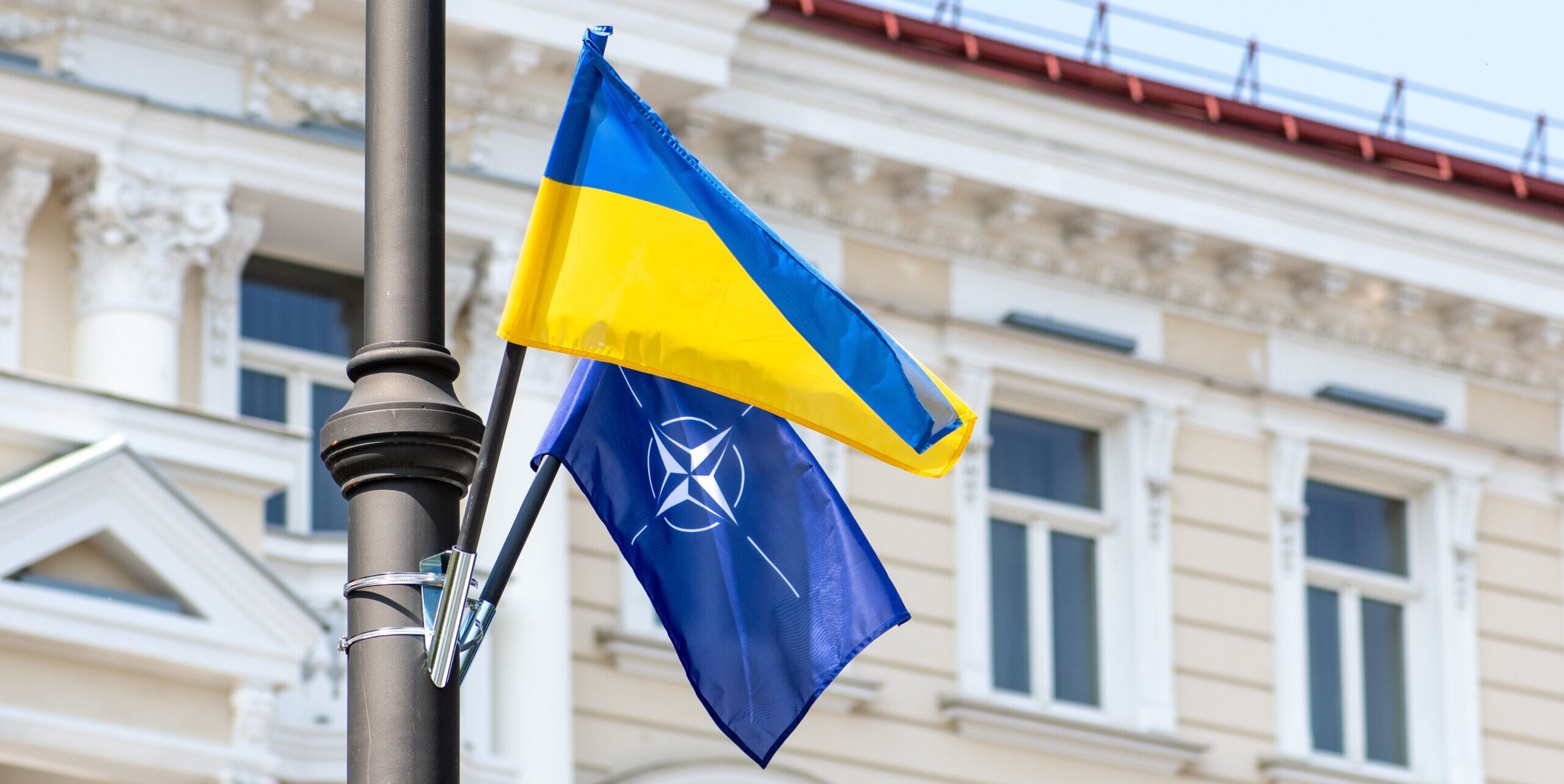 NATO member states’ Ambassadors: Ukraine needs clear path to Alliance membership