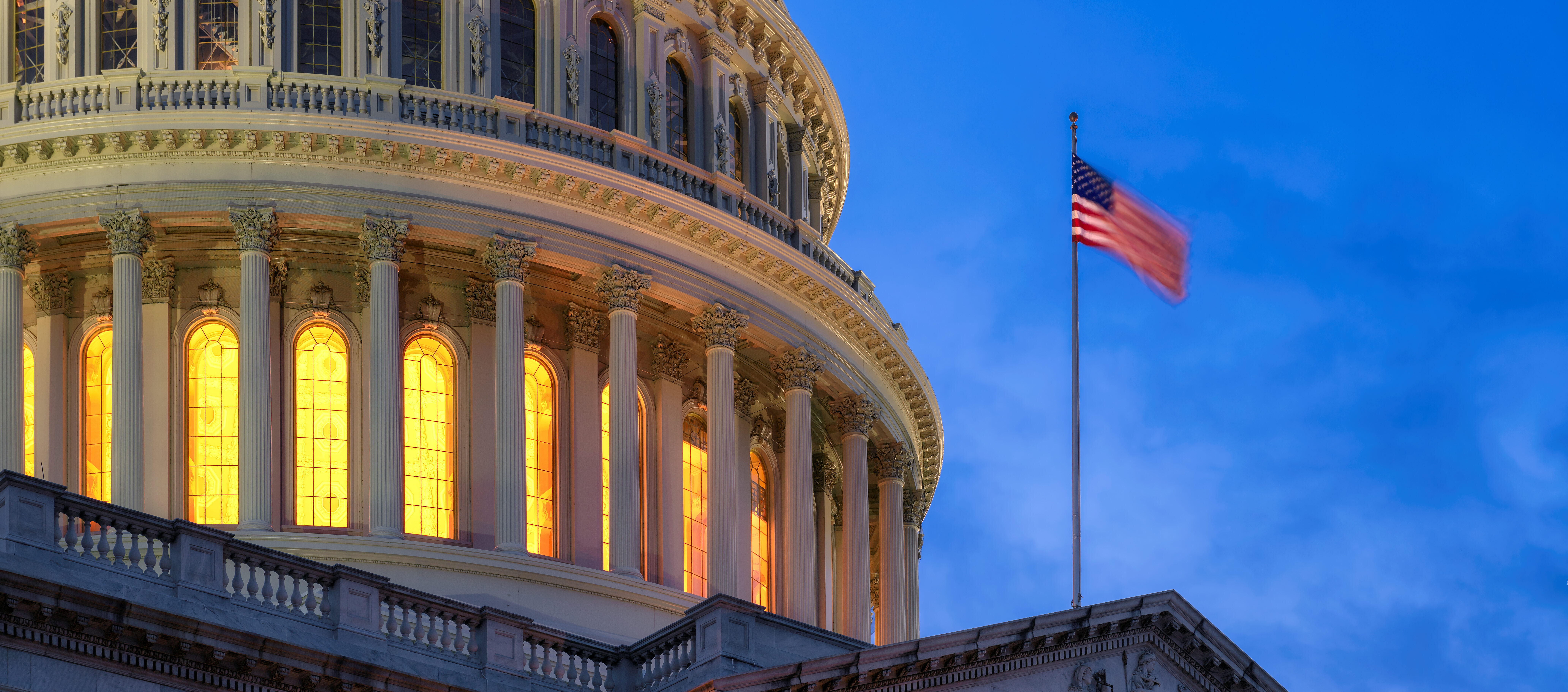 Advocacy week in the USA: join the informational session Advocacy week in the USA: join the informational session