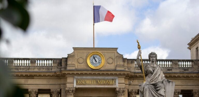 “Charter of Support”: Ukrainians in France campaign ahead of snap parliamentary elections