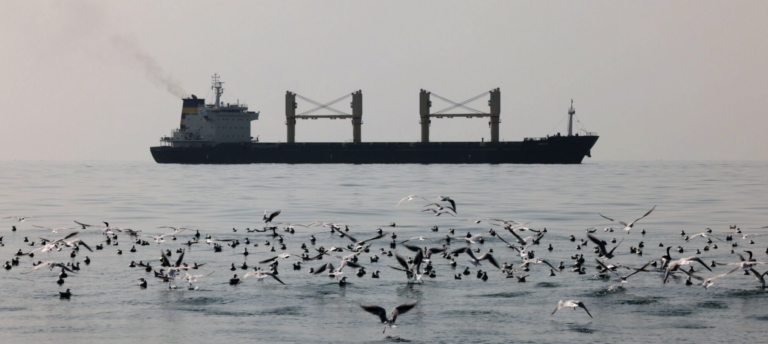 UAE bans Russia’s shadow fleet tankers from entering its ports