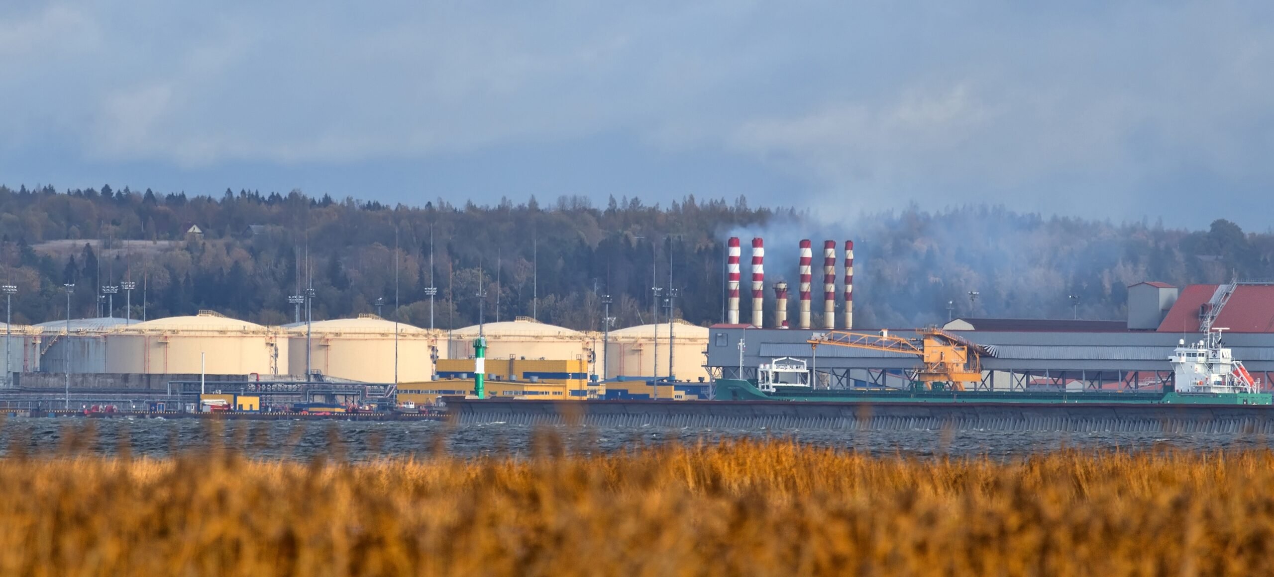 Bloomberg: Russia’s largest port halts operations after Ukrainian strikes Bloomberg: Russia’s largest port halts operations after Ukrainian strikes