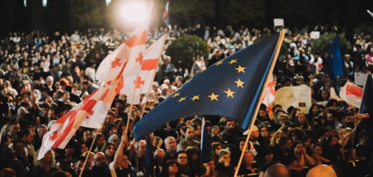 ⁠El Congreso Mundial de los Ucranianos apoya al pueblo de Georgia y pide la celebración de elecciones legítimas