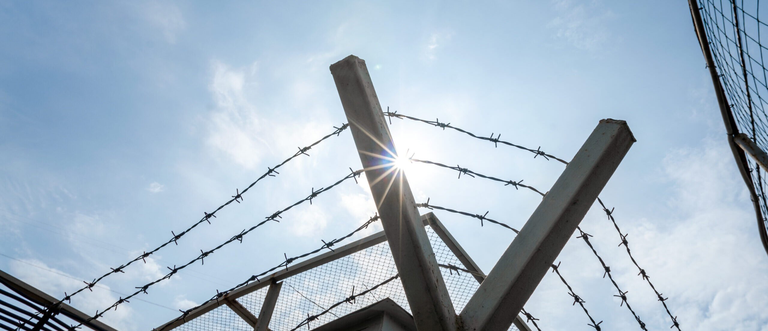 Ukrainians in Australia urge public to support political prisoners in Crimea with letters