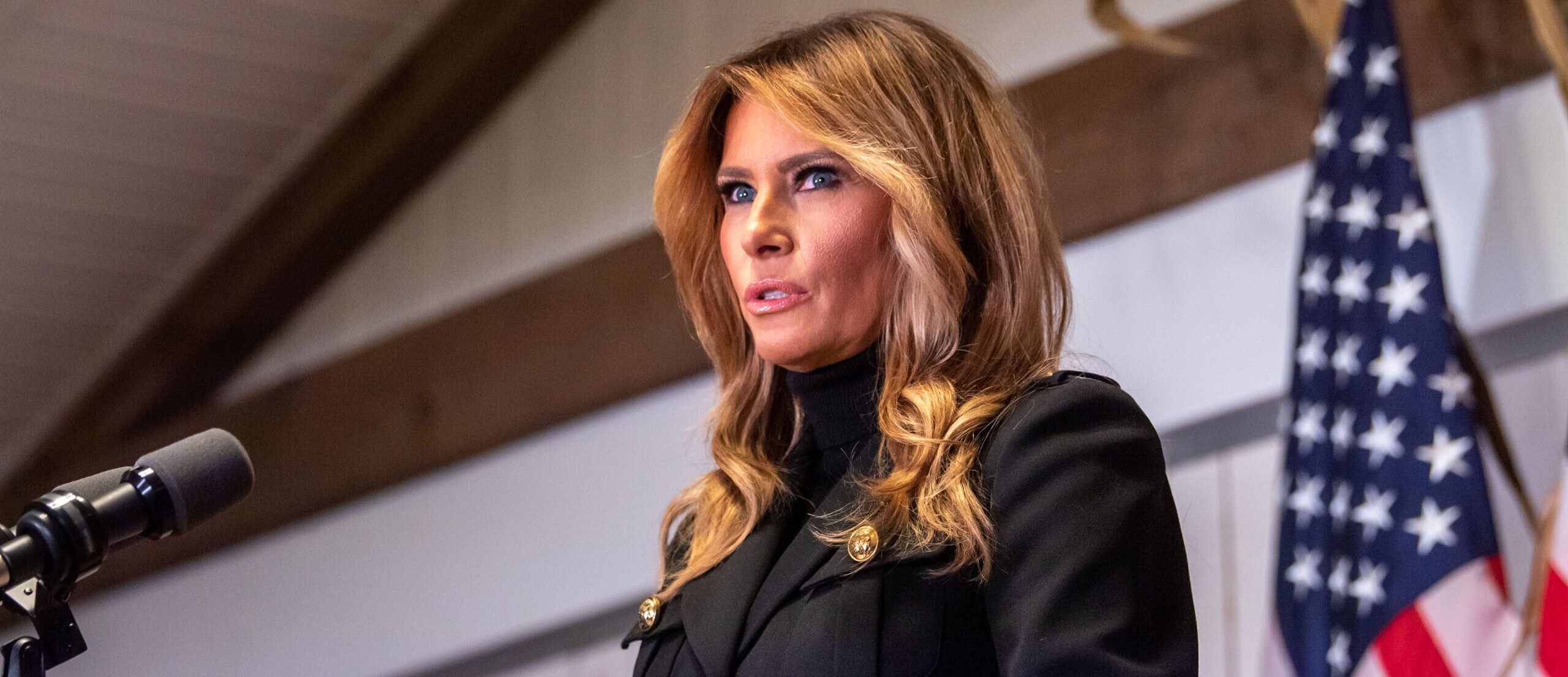 UNWLA to Melania Trump: Lead task force to bring Ukraine’s stolen children home