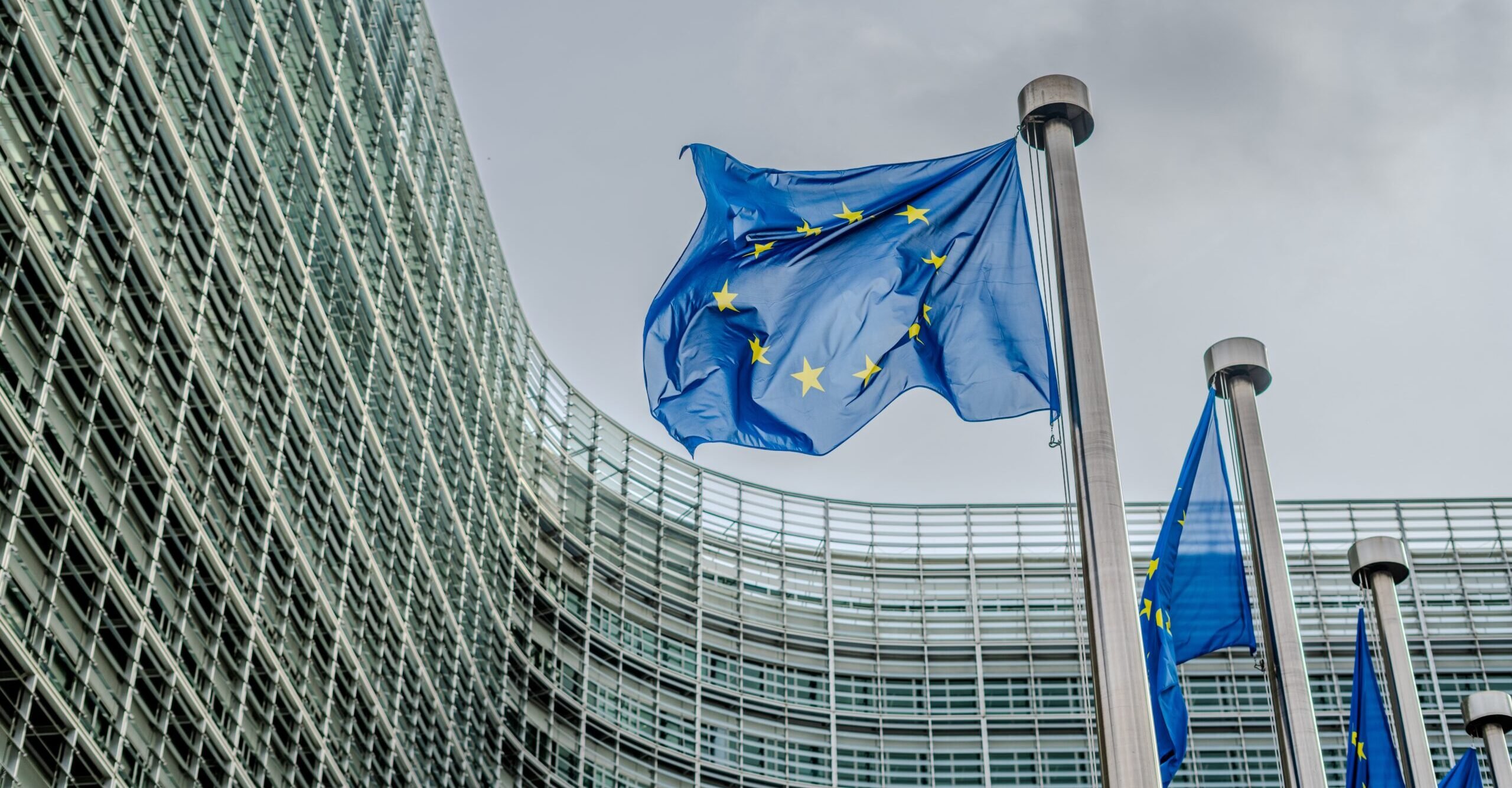 Europe must remain united to play a global role, Kowal says