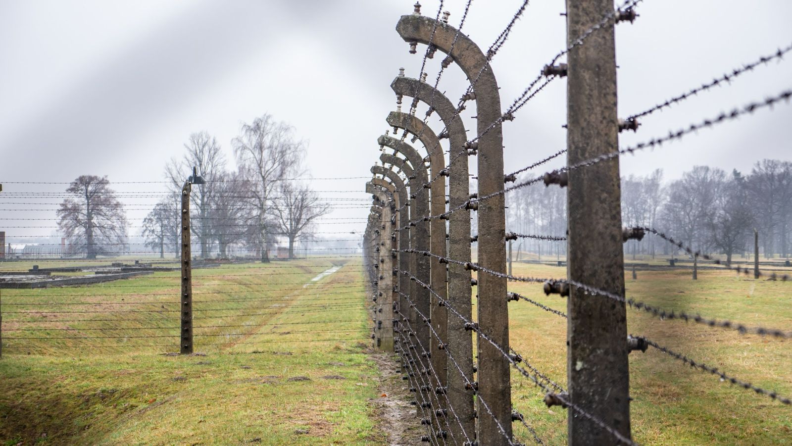 Lyuba Lyubchyk: The memory of the Holocaust is a warning to all humanity