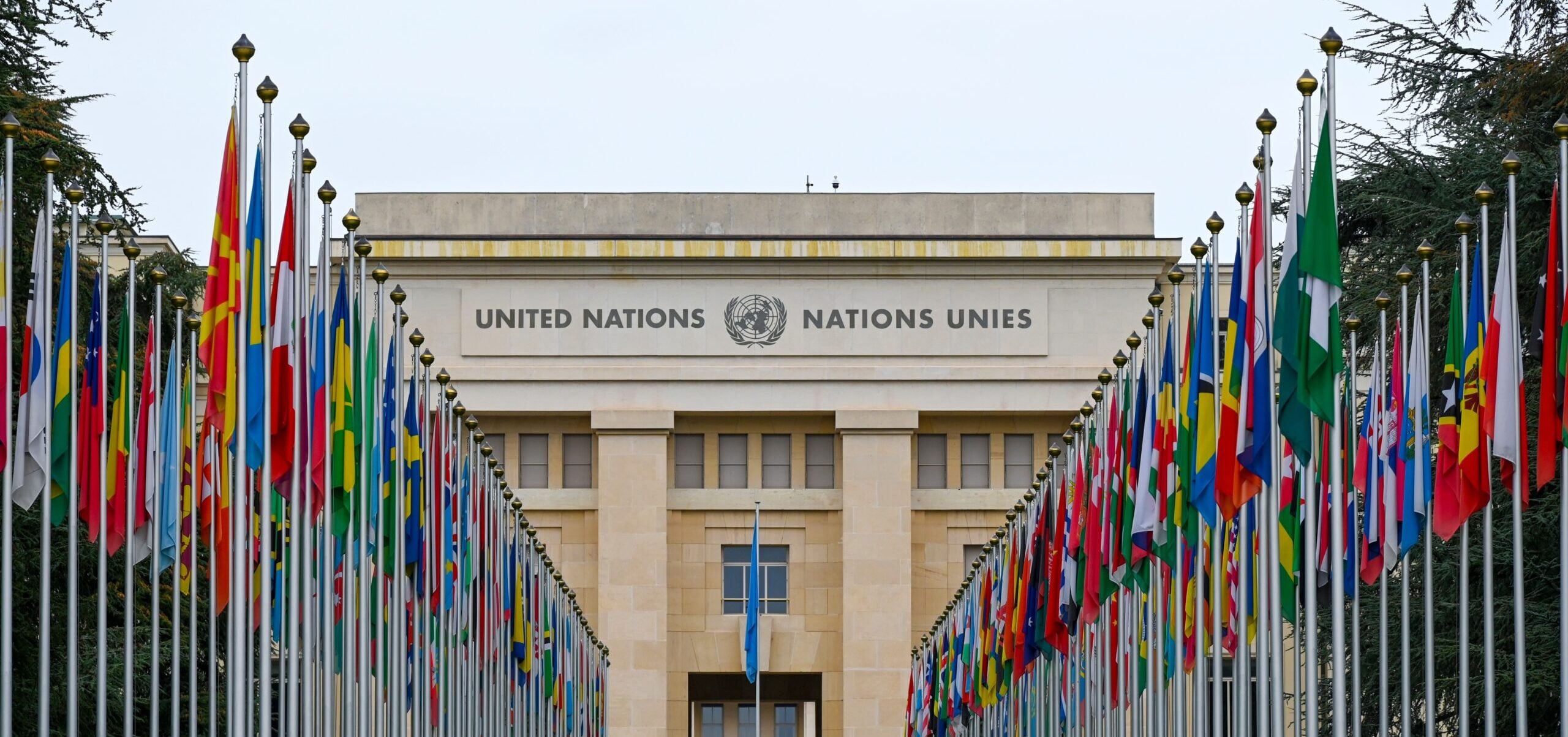 Overwhelming majority of UN members vote to support Ukraine on the 4th anniversary – yet many continue to hide behind abstentions