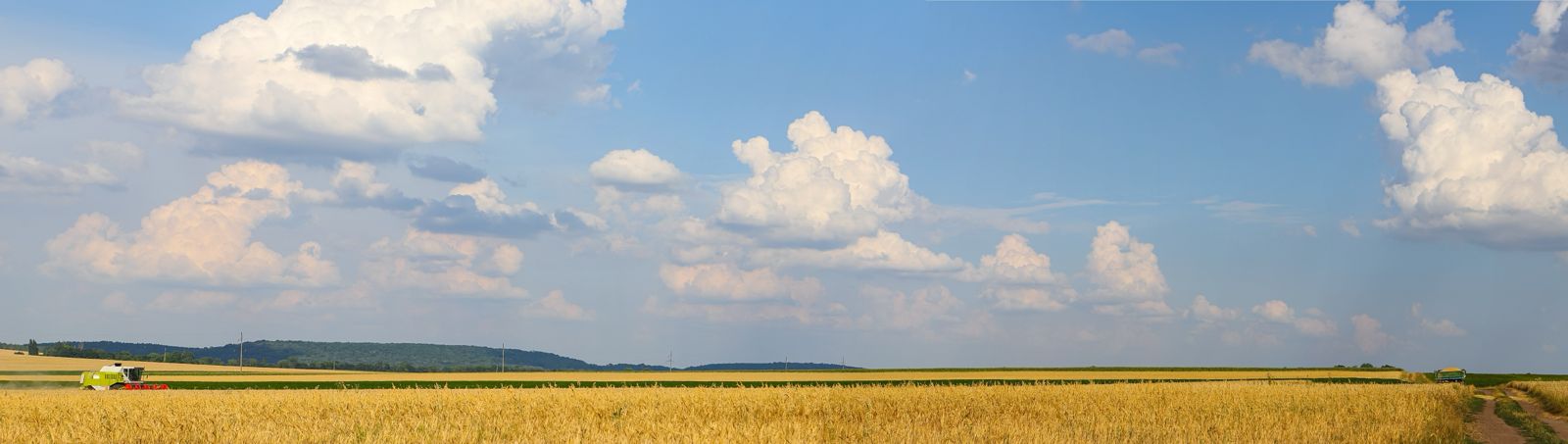 Віктор Ющенко: Україна стоїть