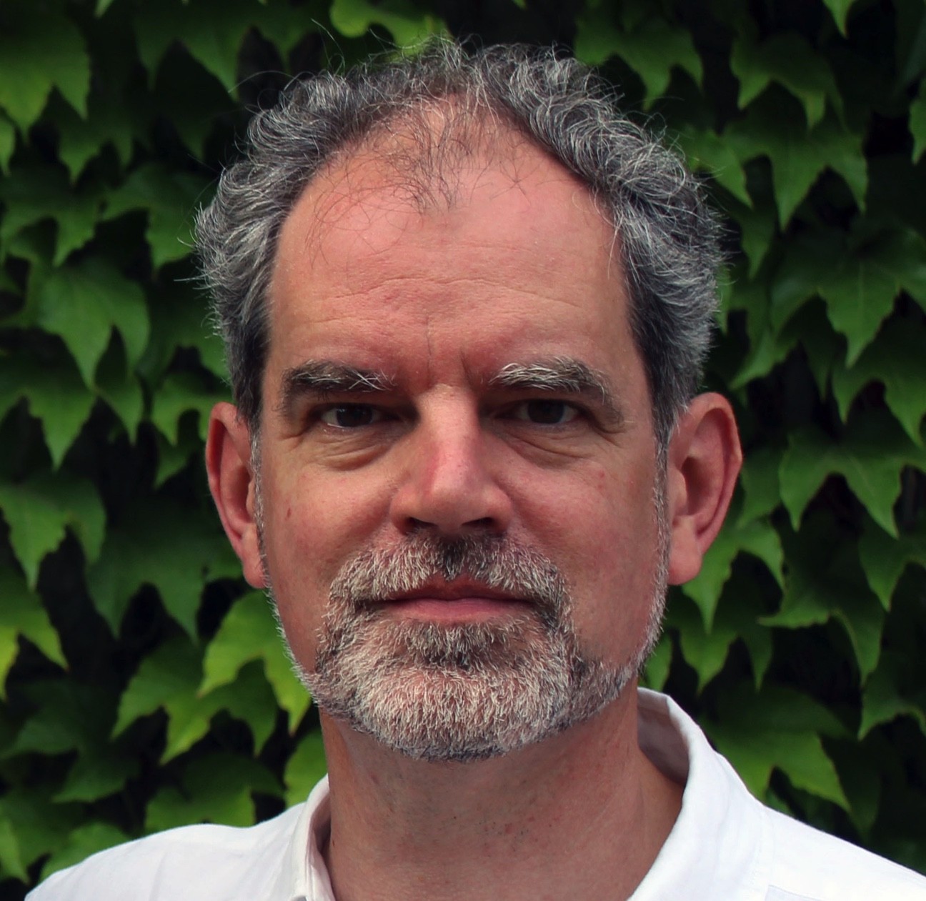 АДРІЯН ГЕВРИК