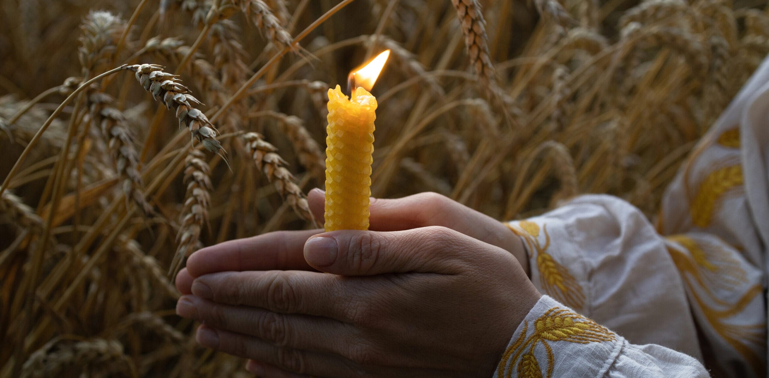 International campaign for Holodomor Remembrance Day: How to join
